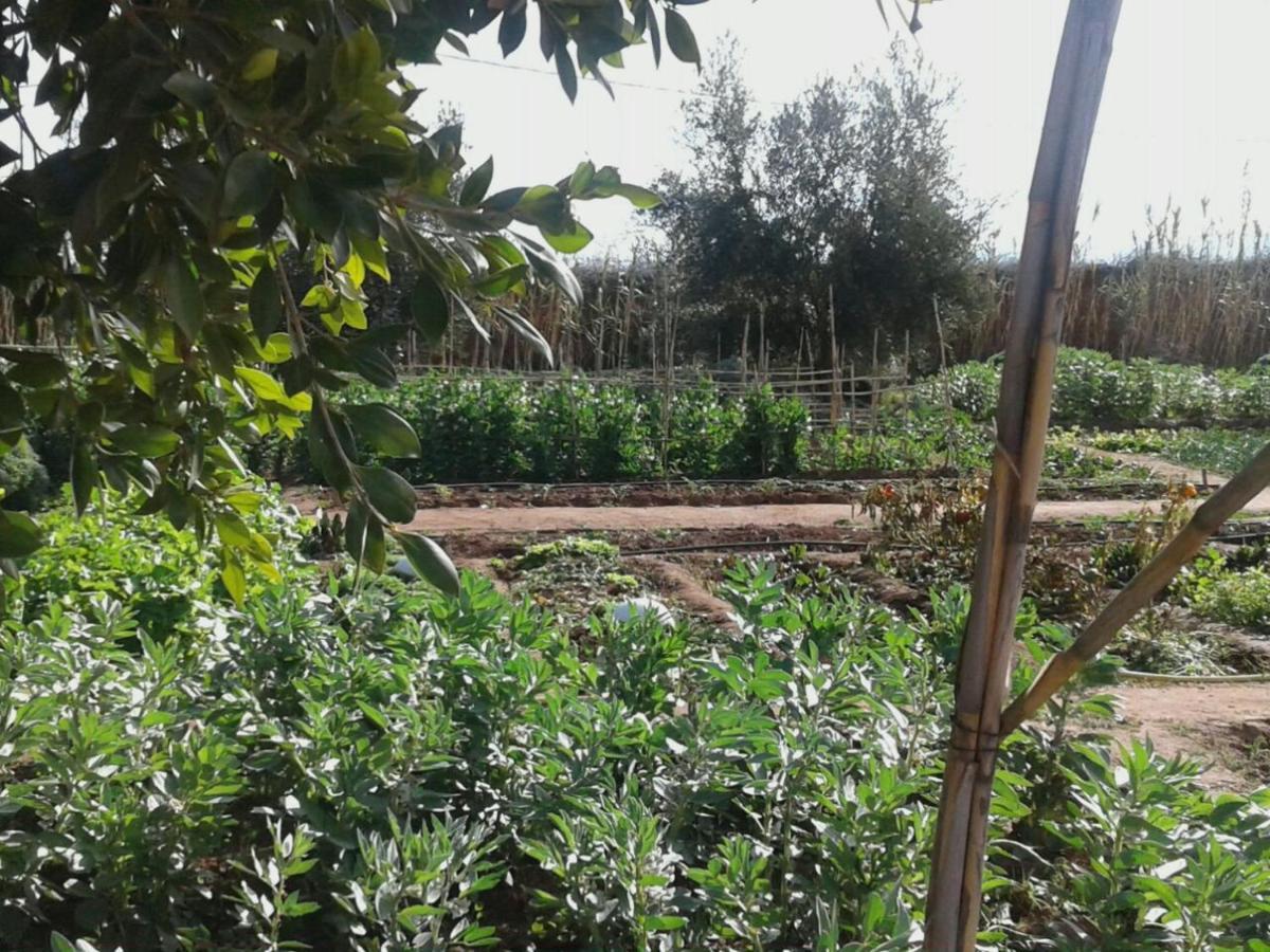 אייט עוריר Dar Tasmayoun מראה חיצוני תמונה